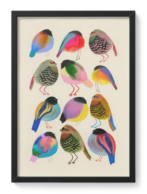 Vibrant Borbs Colourful Round Birds Cute Flock Plump Jewel Toned