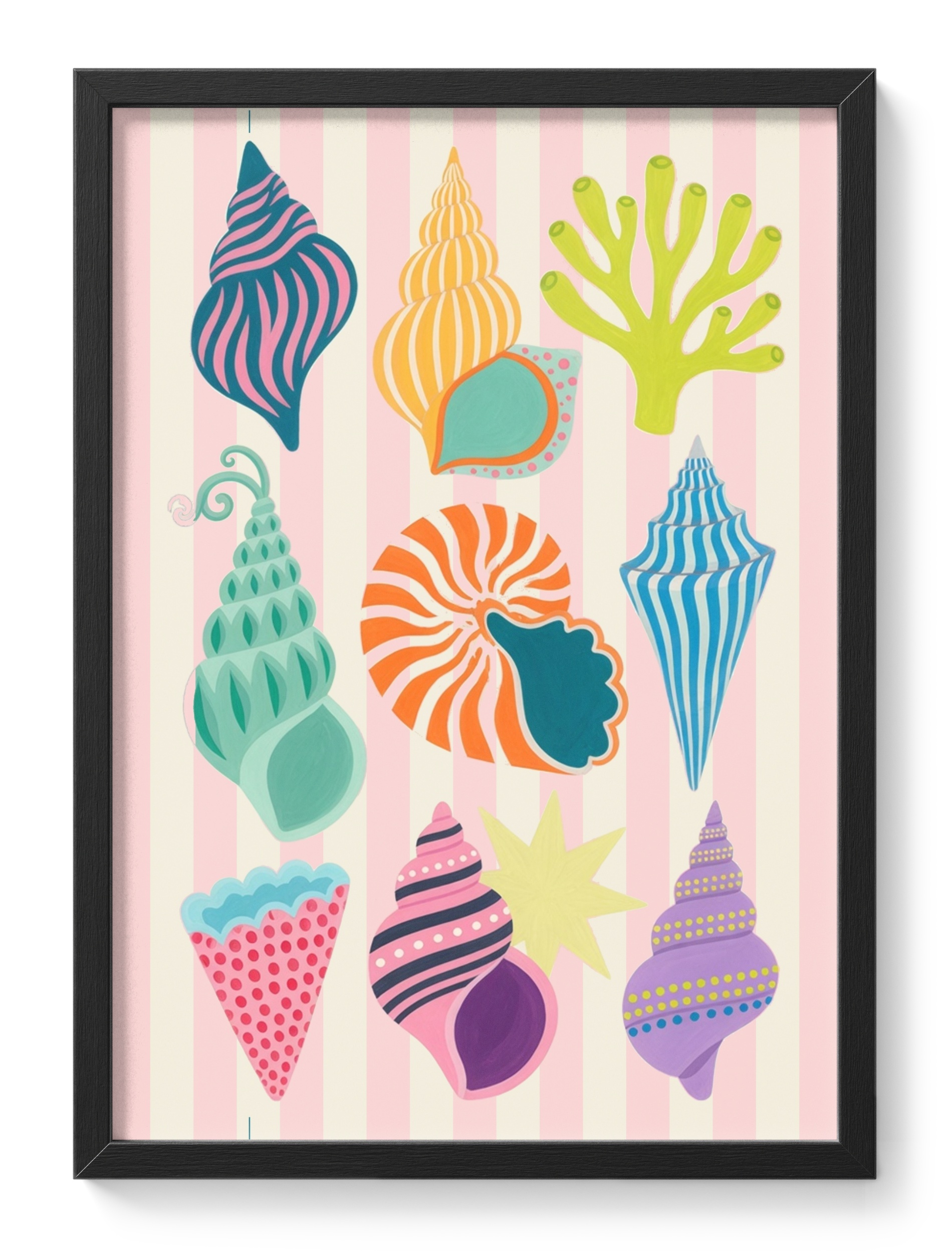 Colourful Shells Coastal Beach Collection Nature Bright Seashells — main view