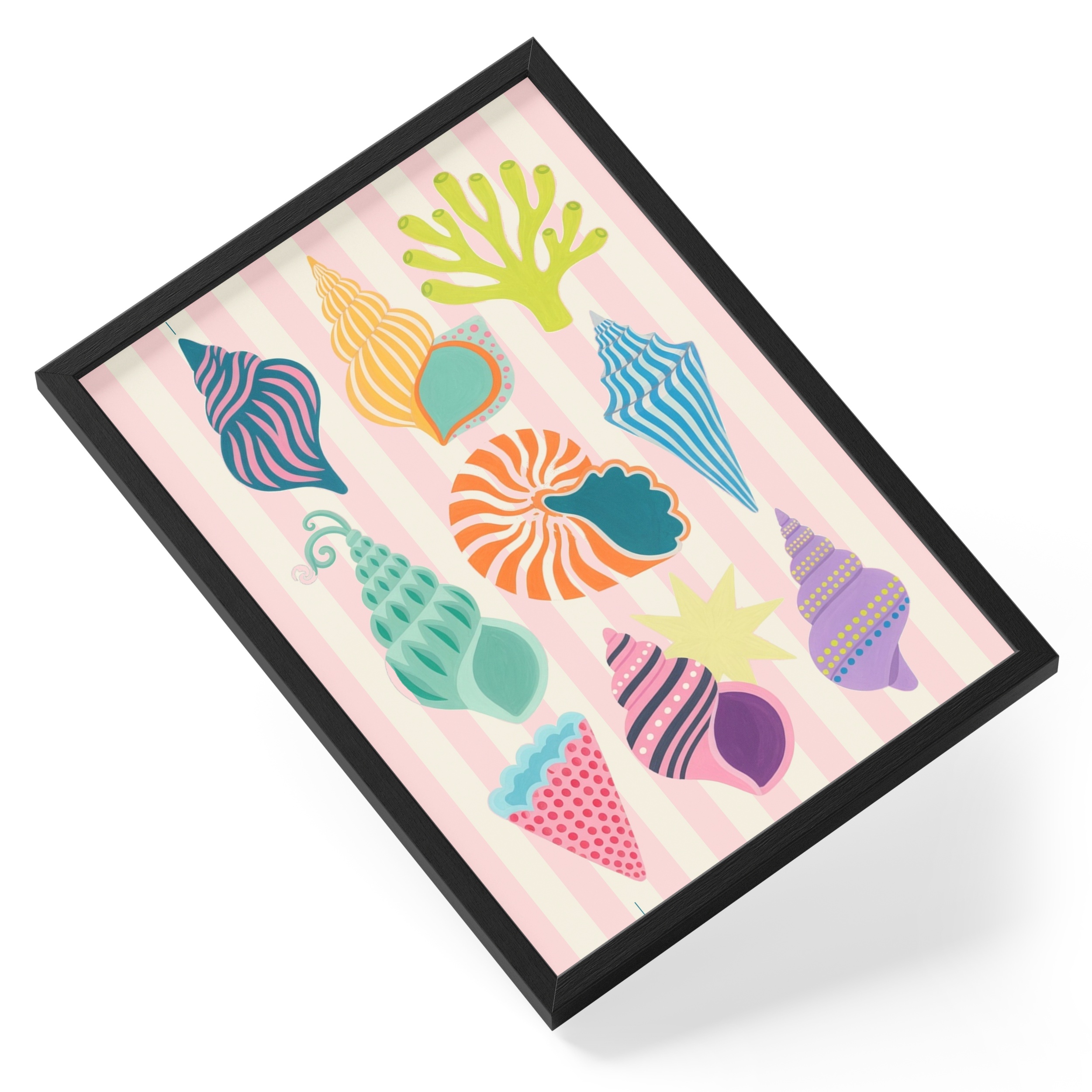 Colourful Shells Coastal Beach Collection Nature Bright Seashells — angled view