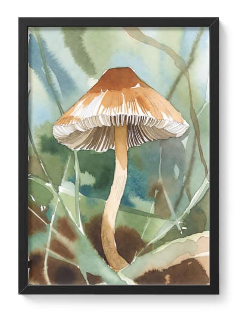 Liberty Cap Mushroom Psilocybe Semilanceata Botanical Soft Mushrooms