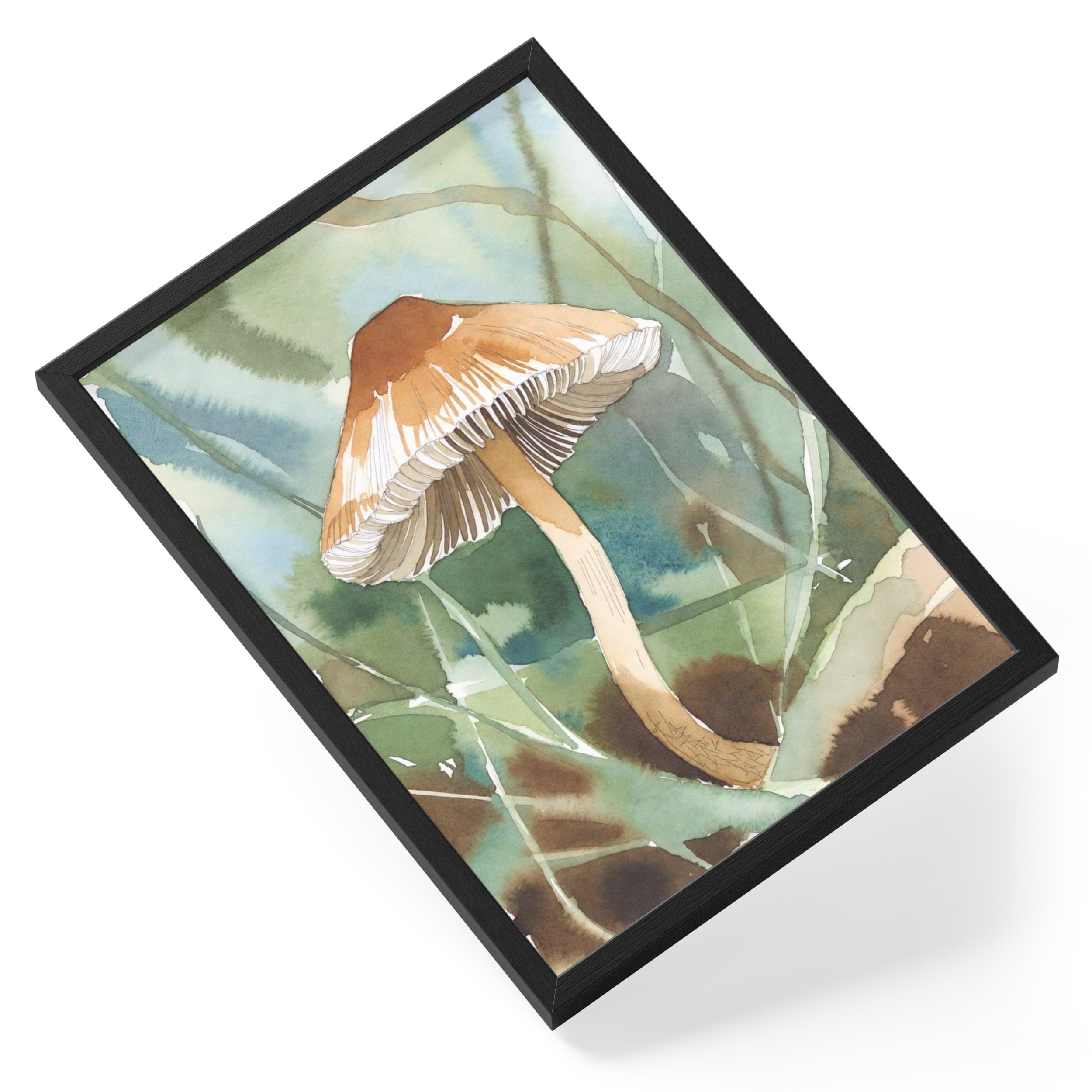 Liberty Cap Mushroom Psilocybe Semilanceata Botanical Soft Mushrooms — angled view