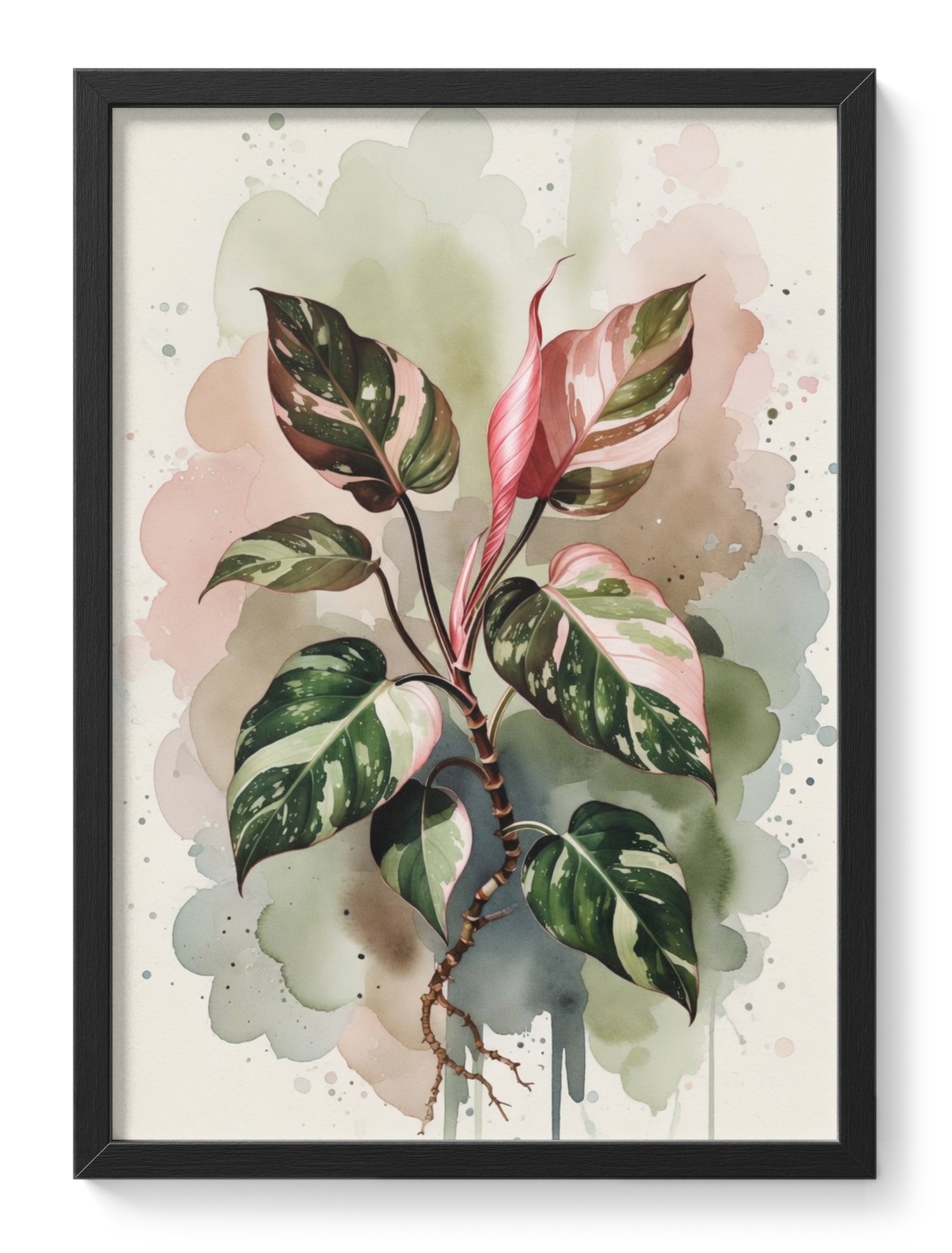 Philodendron Pink Princess Painting Watercolour Botanical Variegated — main view