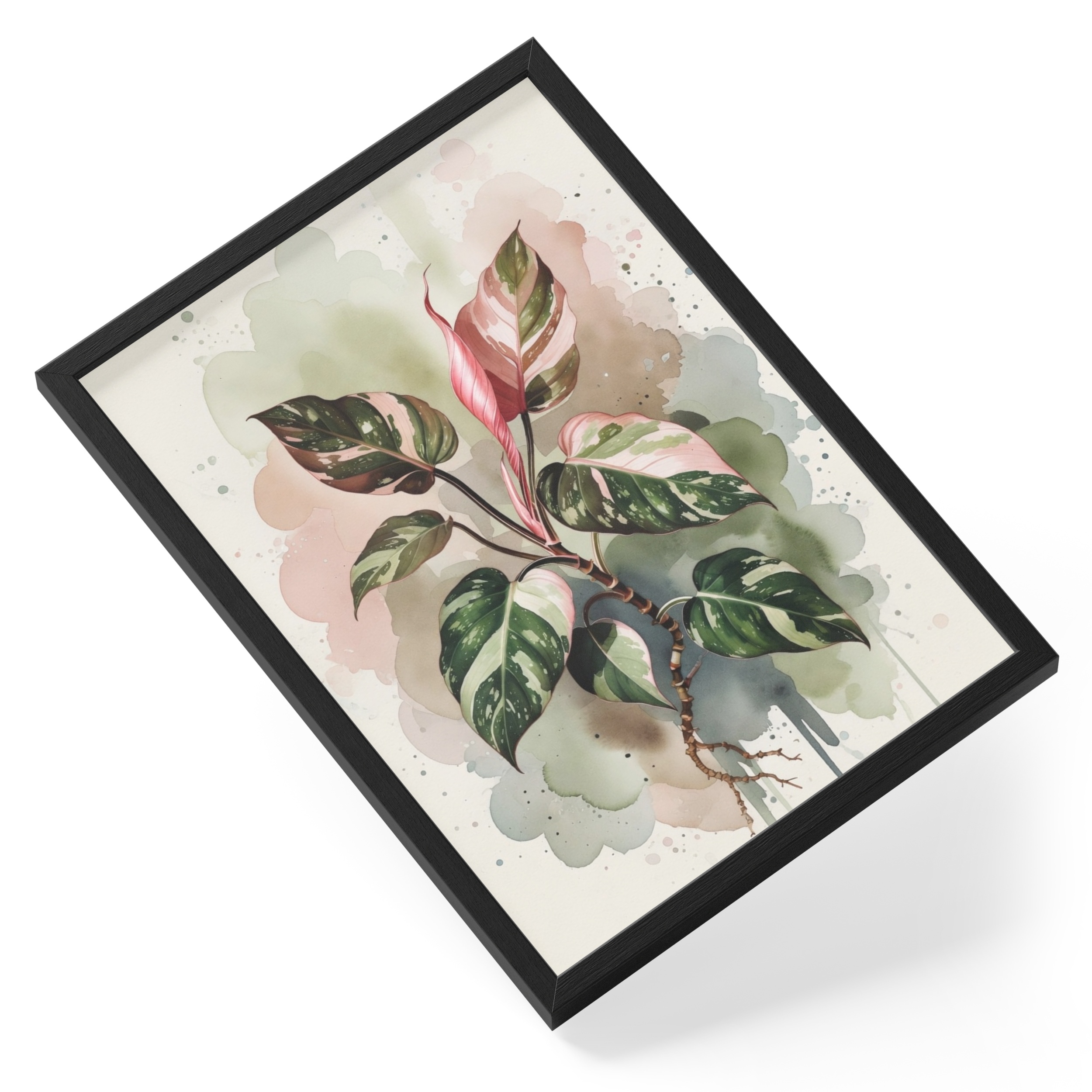 Philodendron Pink Princess Painting Watercolour Botanical Variegated — angled view