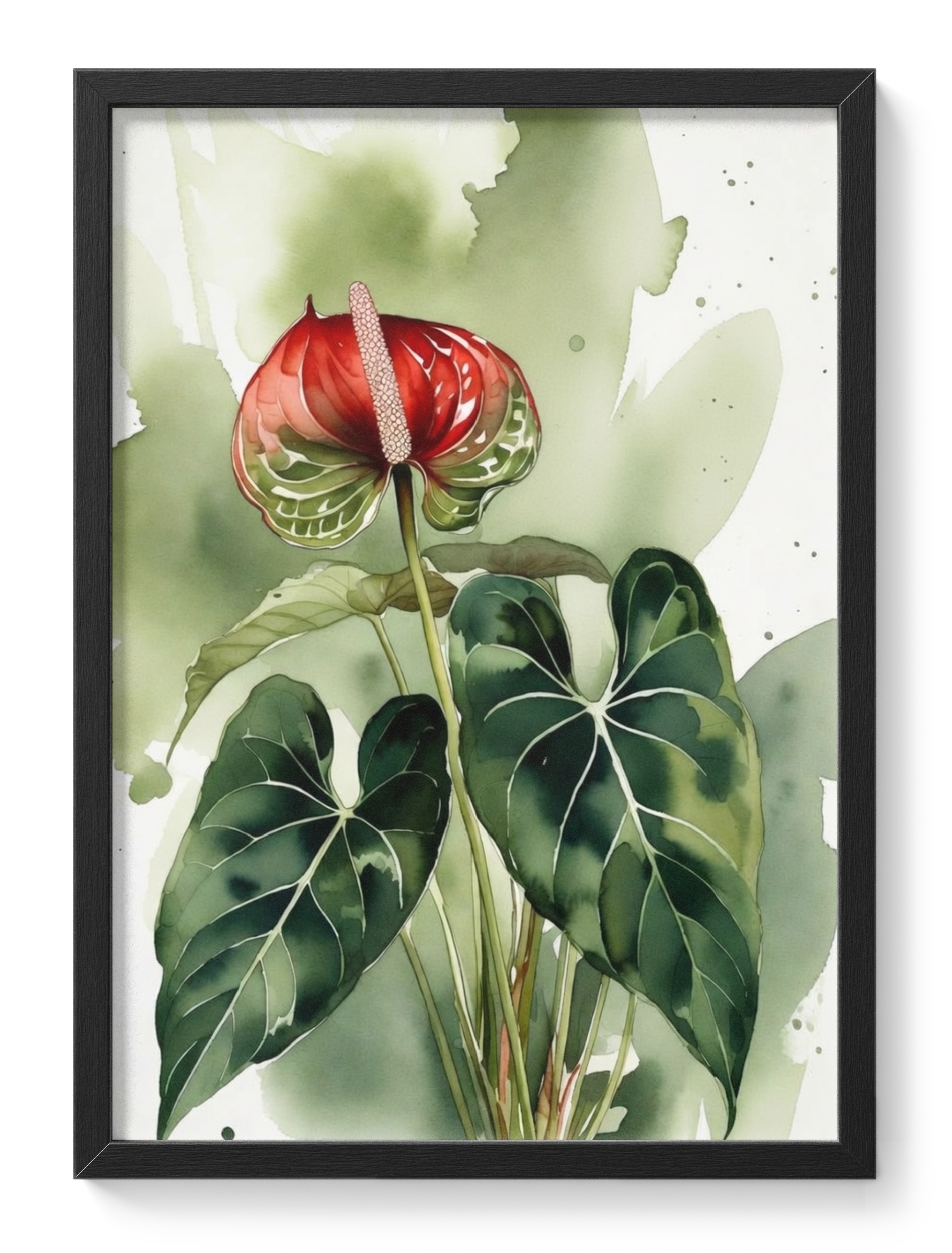 Anthurium Warocqueanum Queen Anthurium Painting Watercolour Botanical — main view