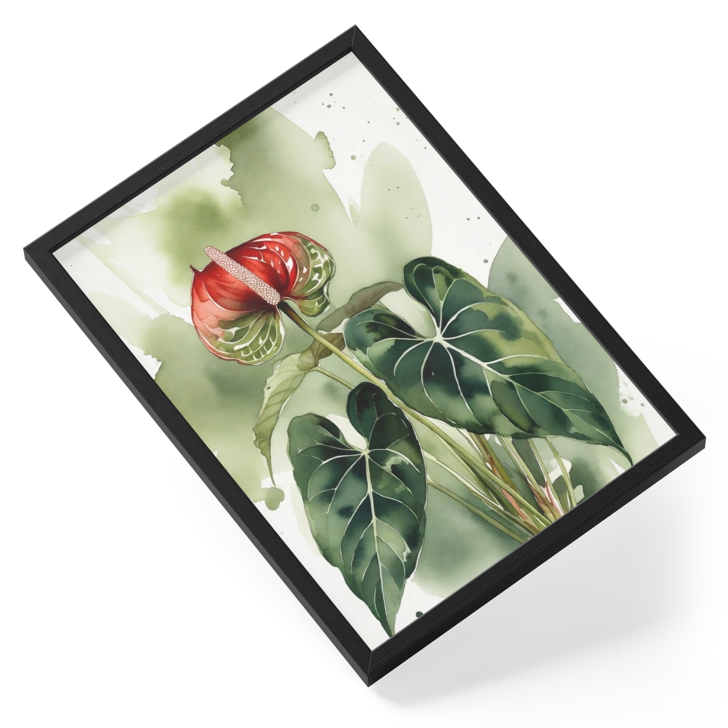 Anthurium Warocqueanum Queen Anthurium Painting Watercolour Botanical — angled view