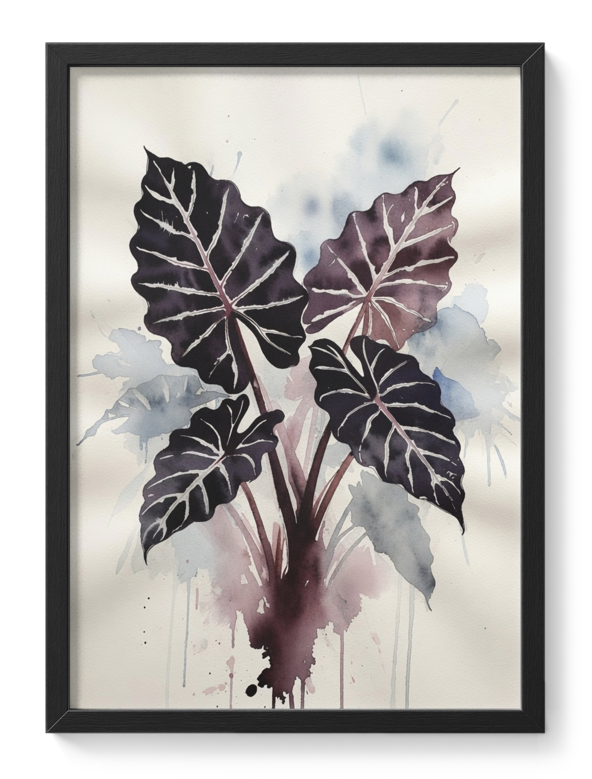 Alocasia Black Velvet Painting Watercolour Botanical Dramatic Soft — main view