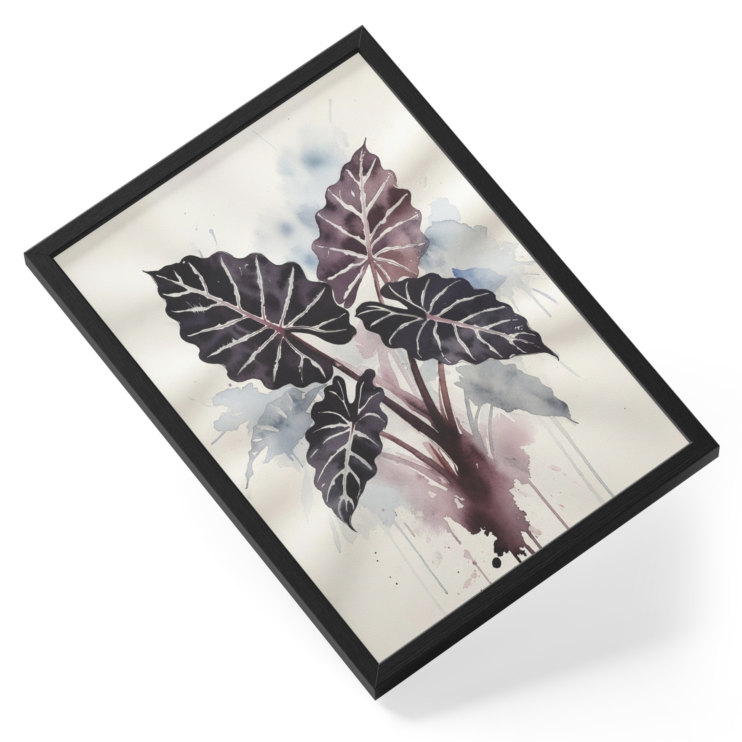 Alocasia Black Velvet Painting Watercolour Botanical Dramatic Soft — angled view