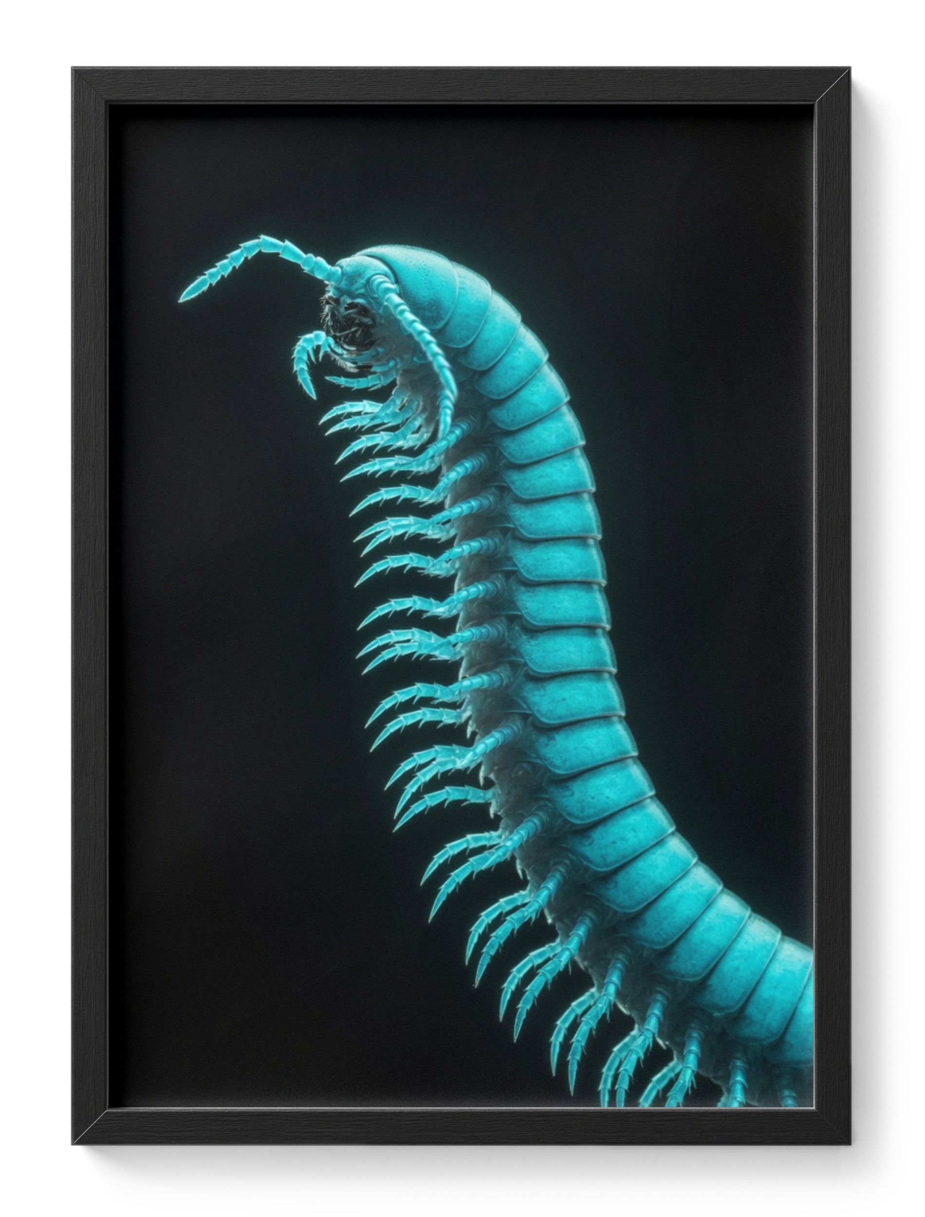 Majestic Uv Giant African Millipede Glowing Teal Insect Dark Nature — main view