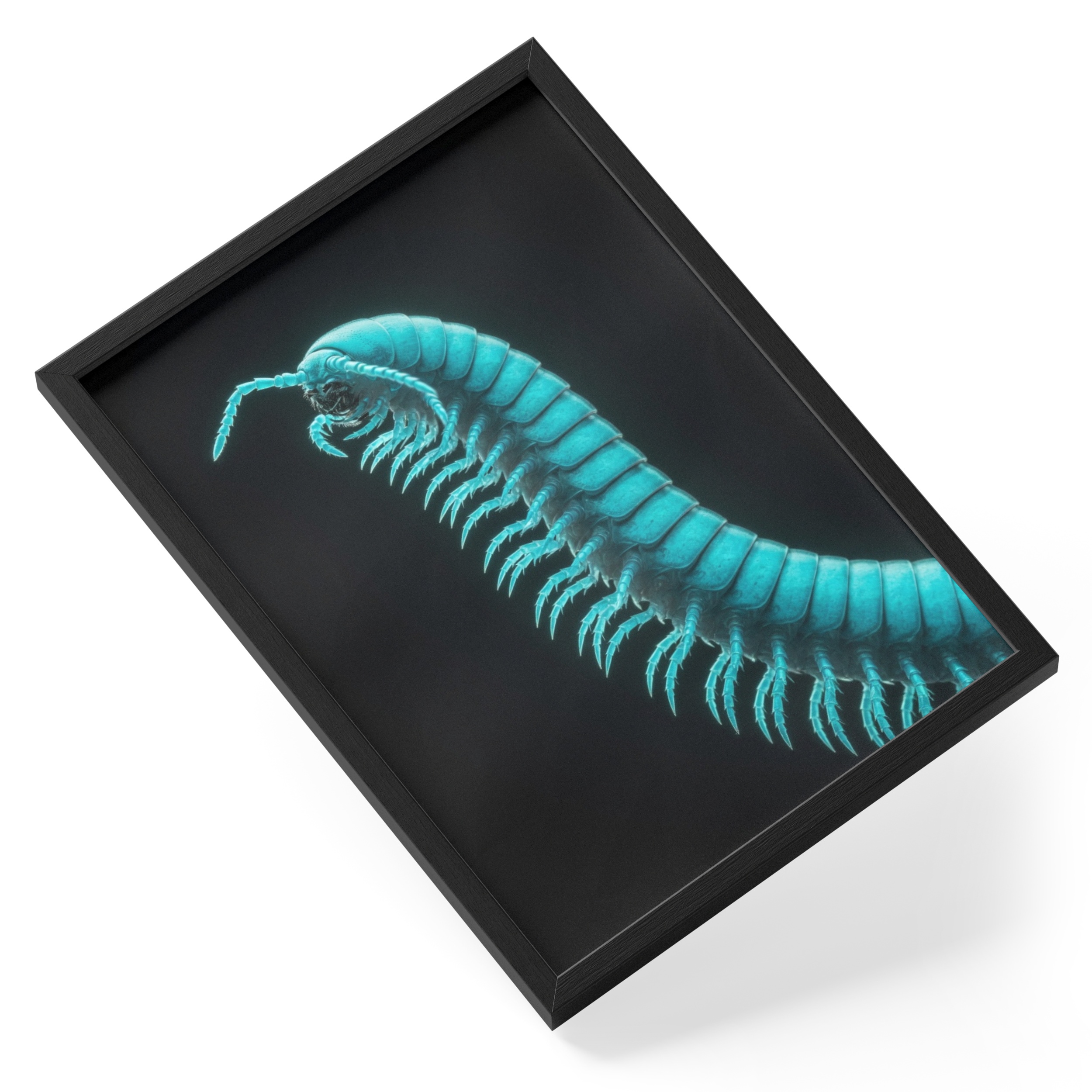 Majestic Uv Giant African Millipede Glowing Teal Insect Dark Nature — angled view