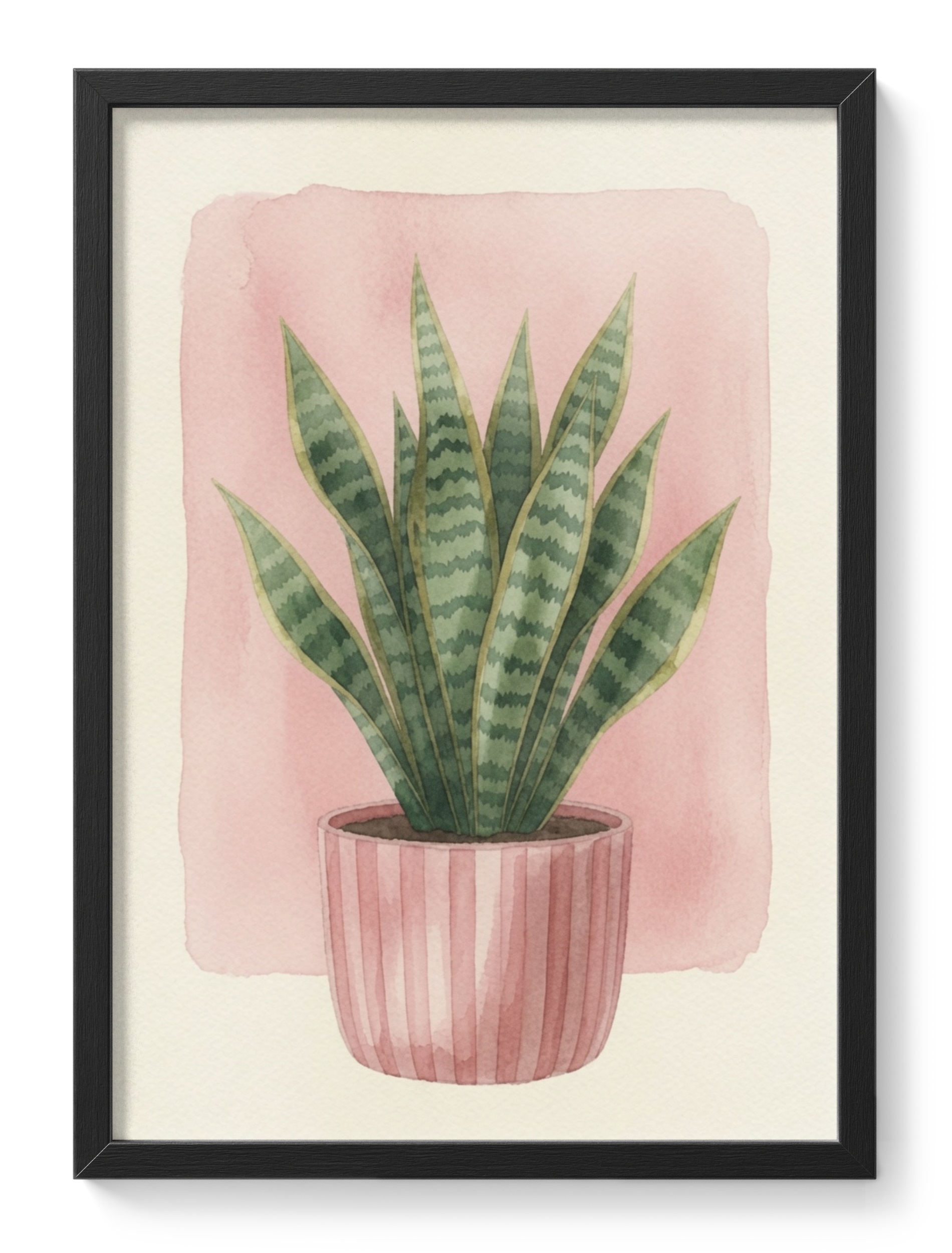 Snake Plant Pink Pot Botanical Watercolour Kitchen Soft Upright — main view
