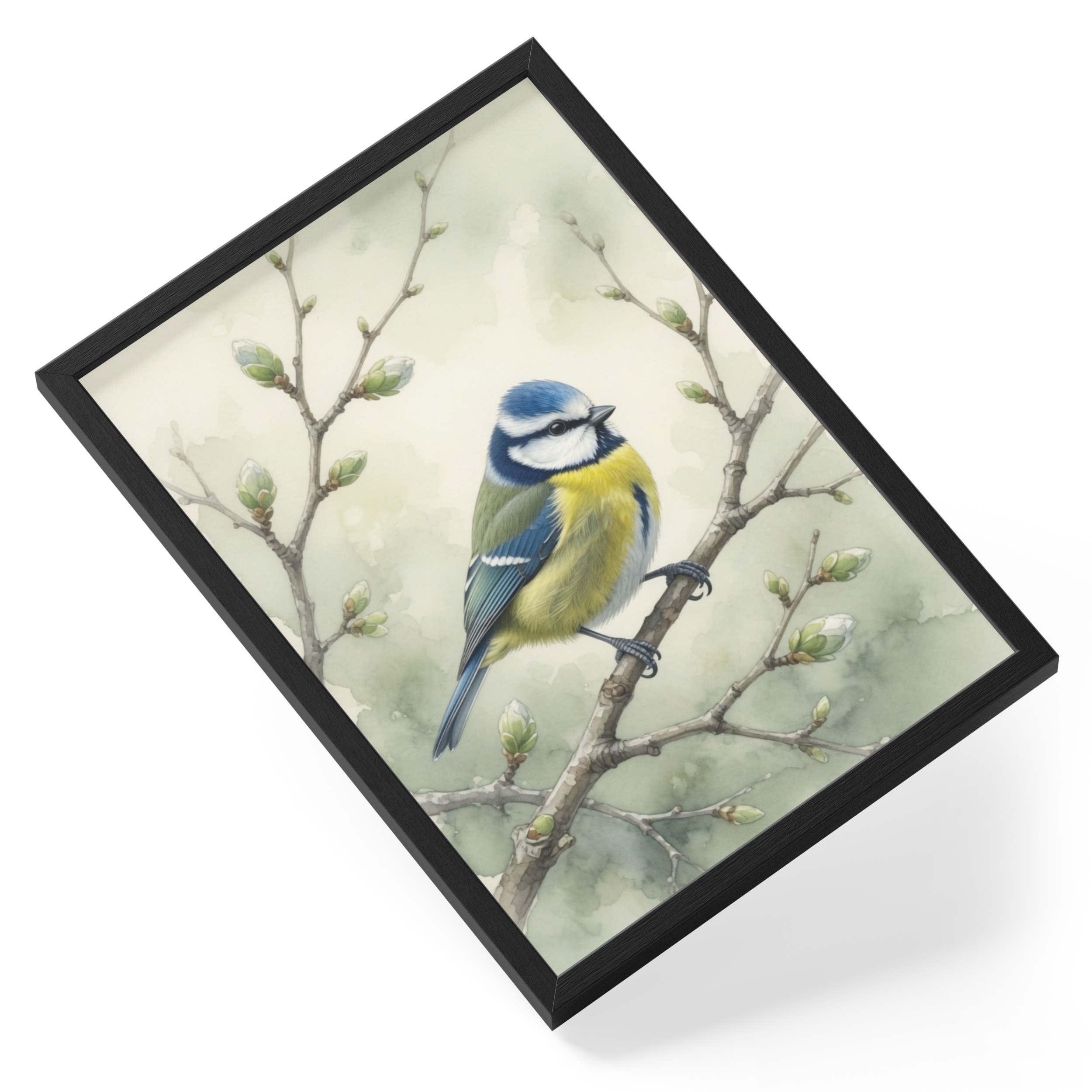 Blue Tit Bird British Garden Wildlife Watercolour Branch Spring — angled view