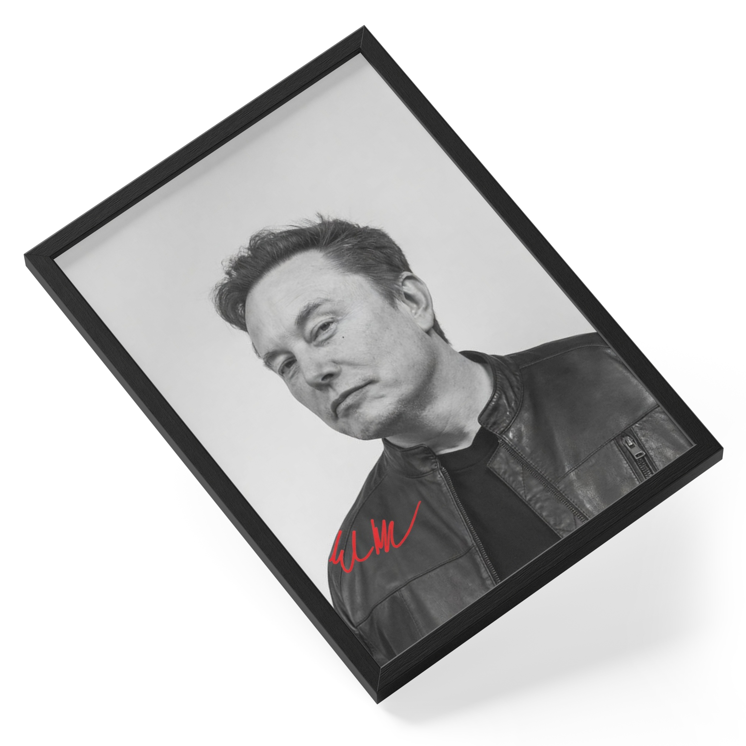Elon Musk Tesla Spacex Entrepreneur Ceo Portrait — angled view