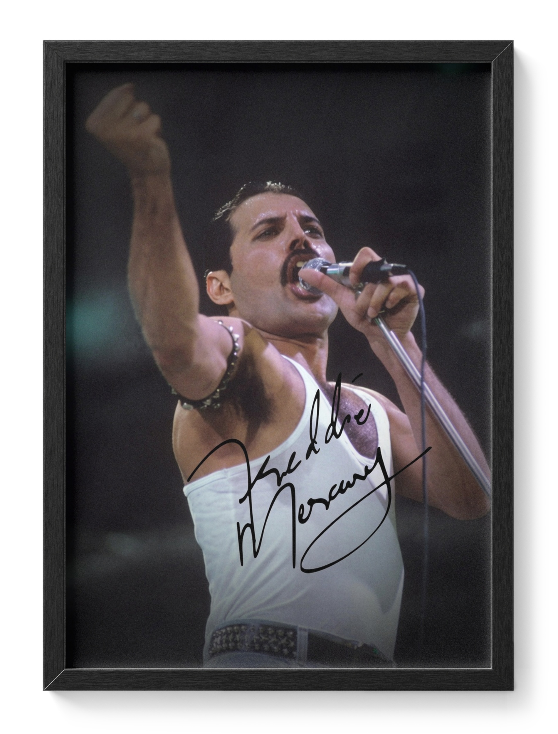 Freddie Mercury Queen Singer Frontman Rock Icon Portrait — main view