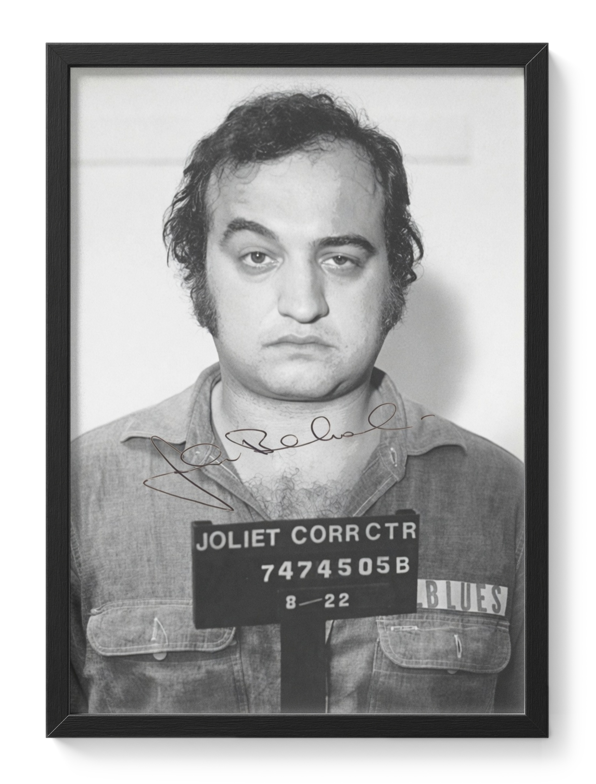 John Belushi Blues Brothers Mugshot Joliet Comedy Icon — main view