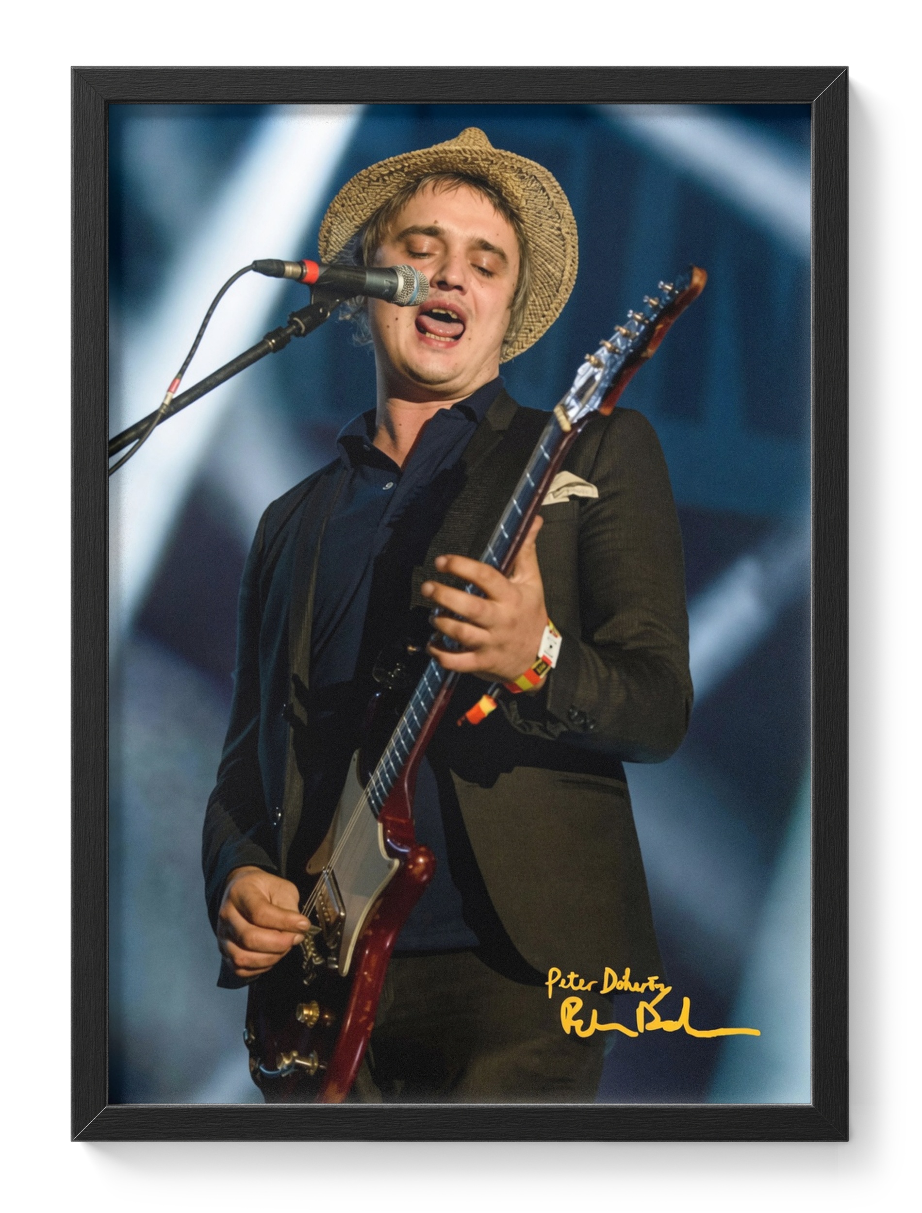 Pete Doherty Libertines Babyshambles Live Guitar Concert — main view