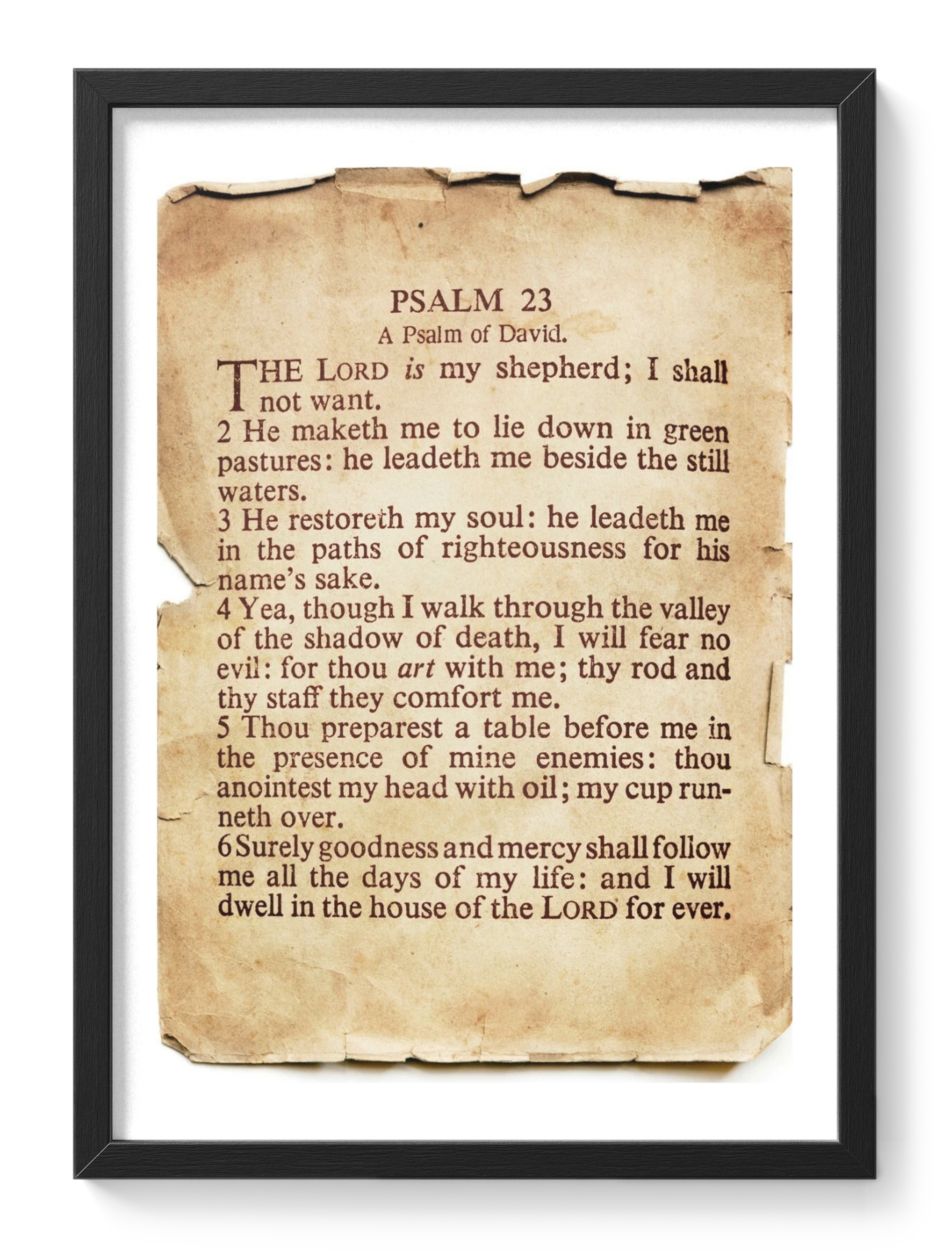 Psalm 23 Lords My Shepherd Bible Verse Christian Scripture — main view