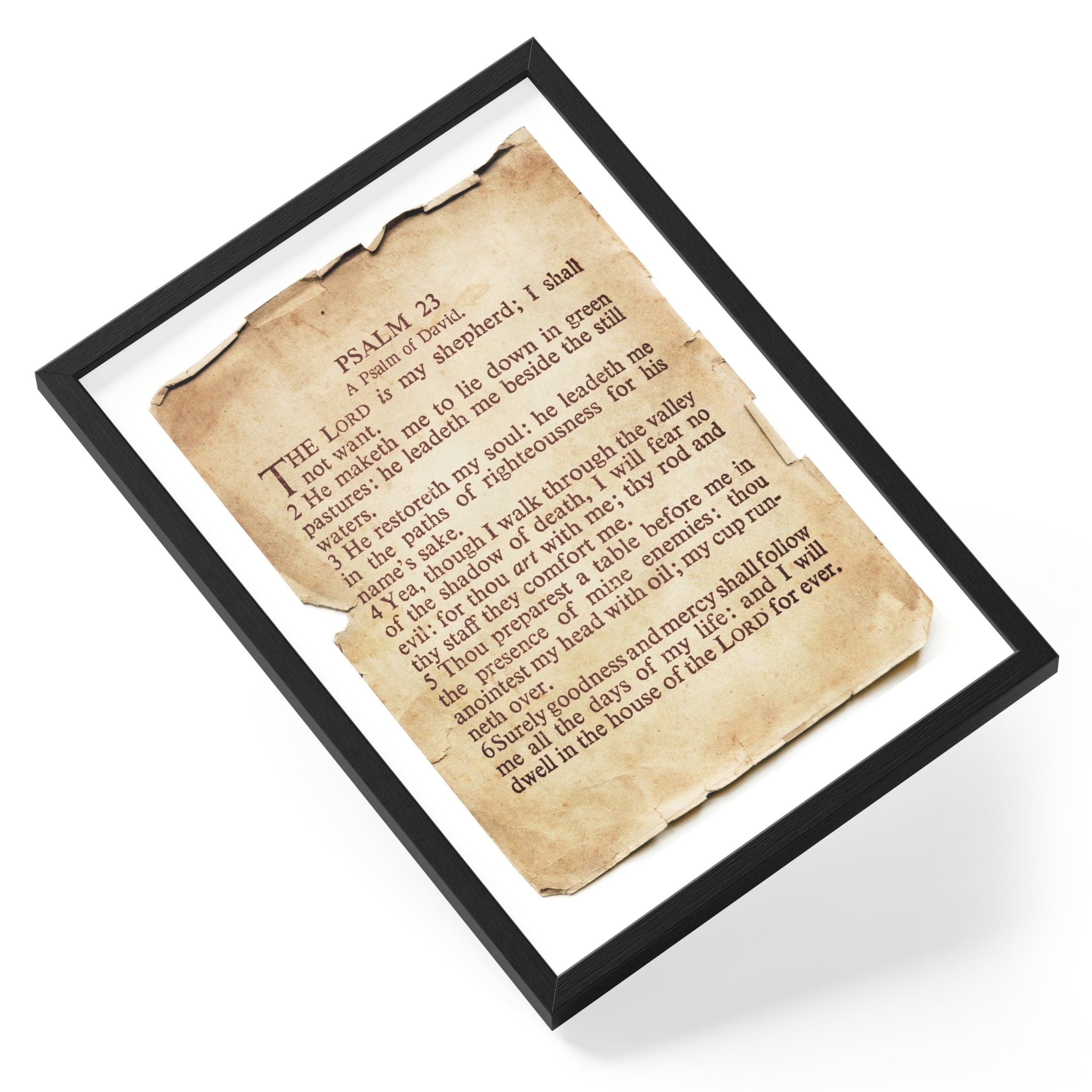 Psalm 23 Lords My Shepherd Bible Verse Christian Scripture — angled view