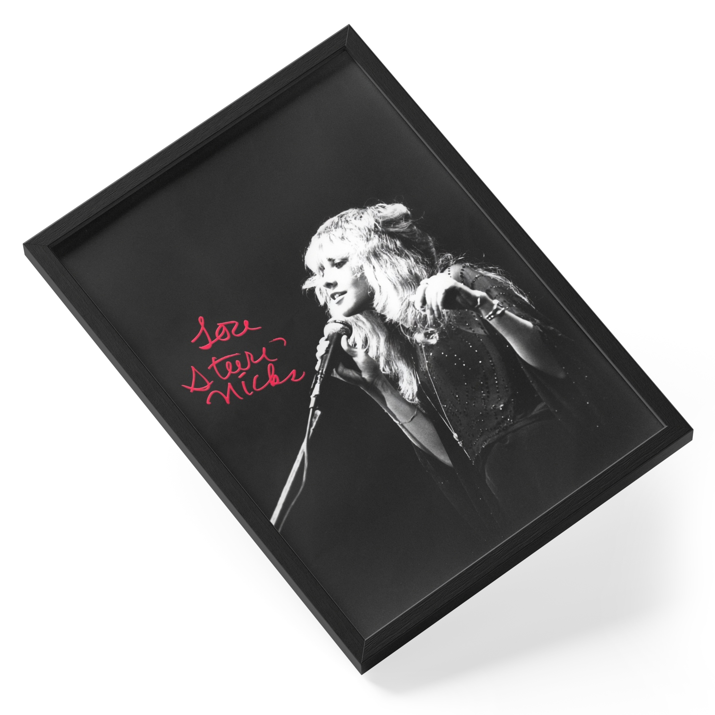 Stevie Nicks Fleetwood Mac Singer Rock Icon Portrait — angled view