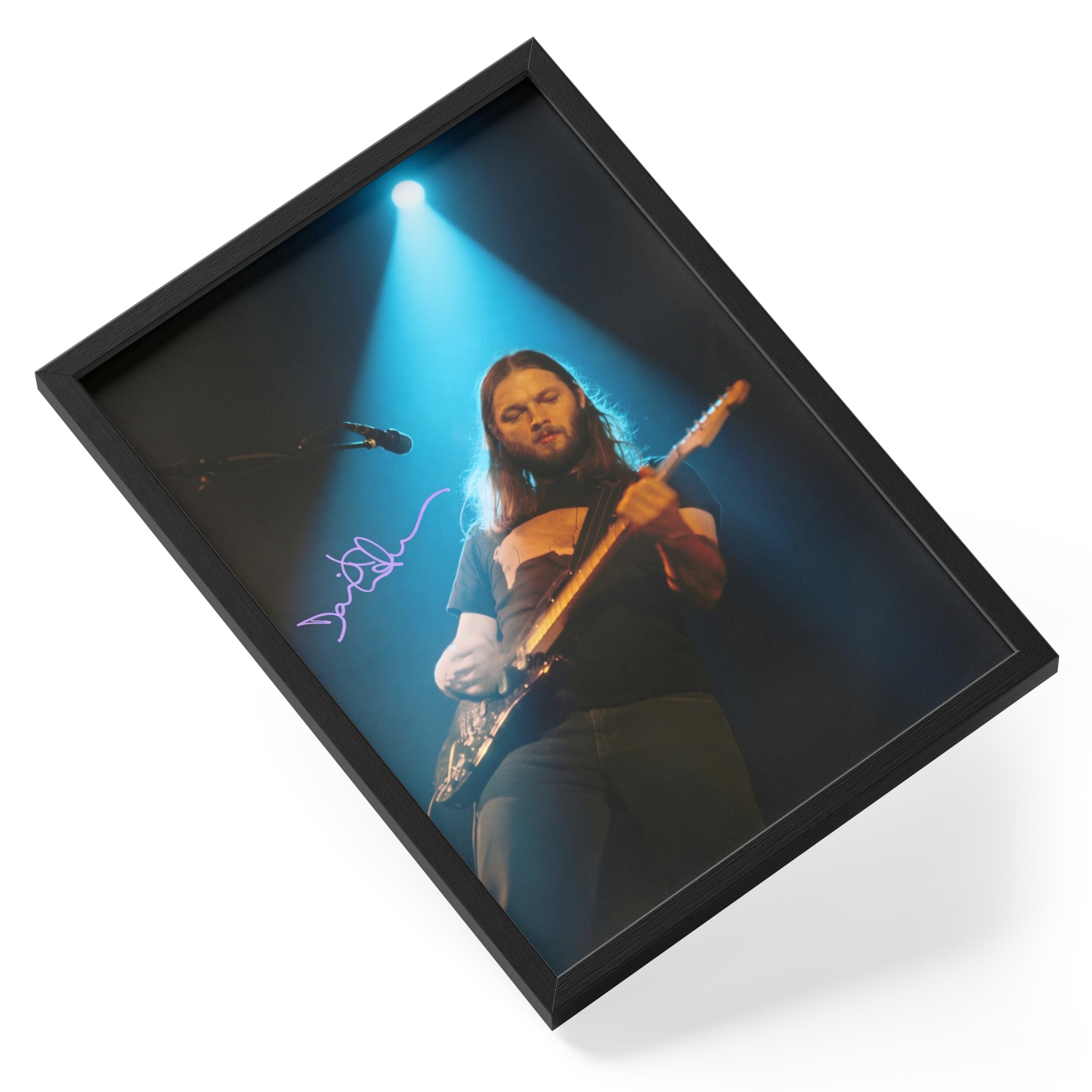 David Gilmour Pink Floyd Guitarist Solo Portrait Signed — angled view