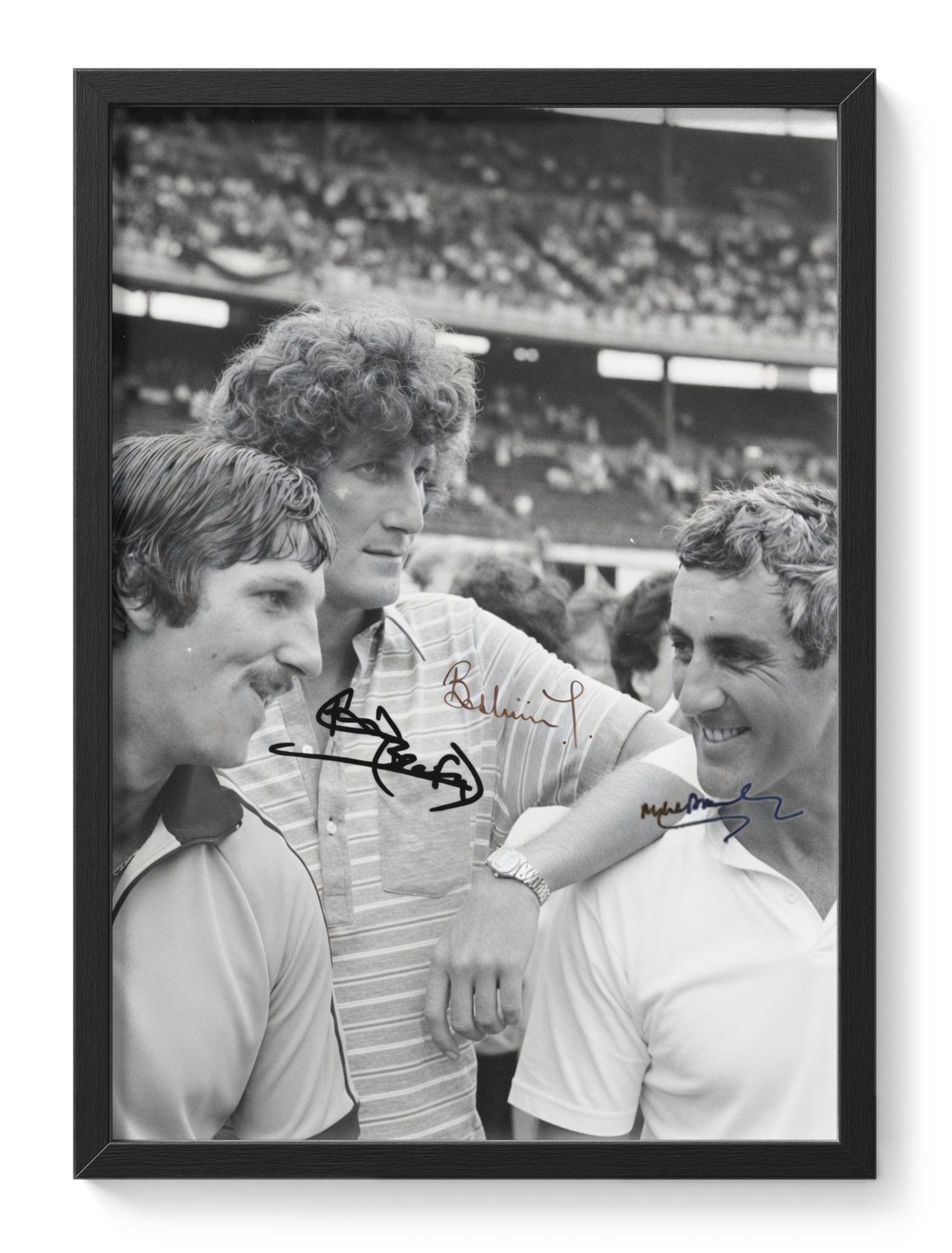 Ian Botham Bob Willis Headingley 1981 Ashes Cricket — main view