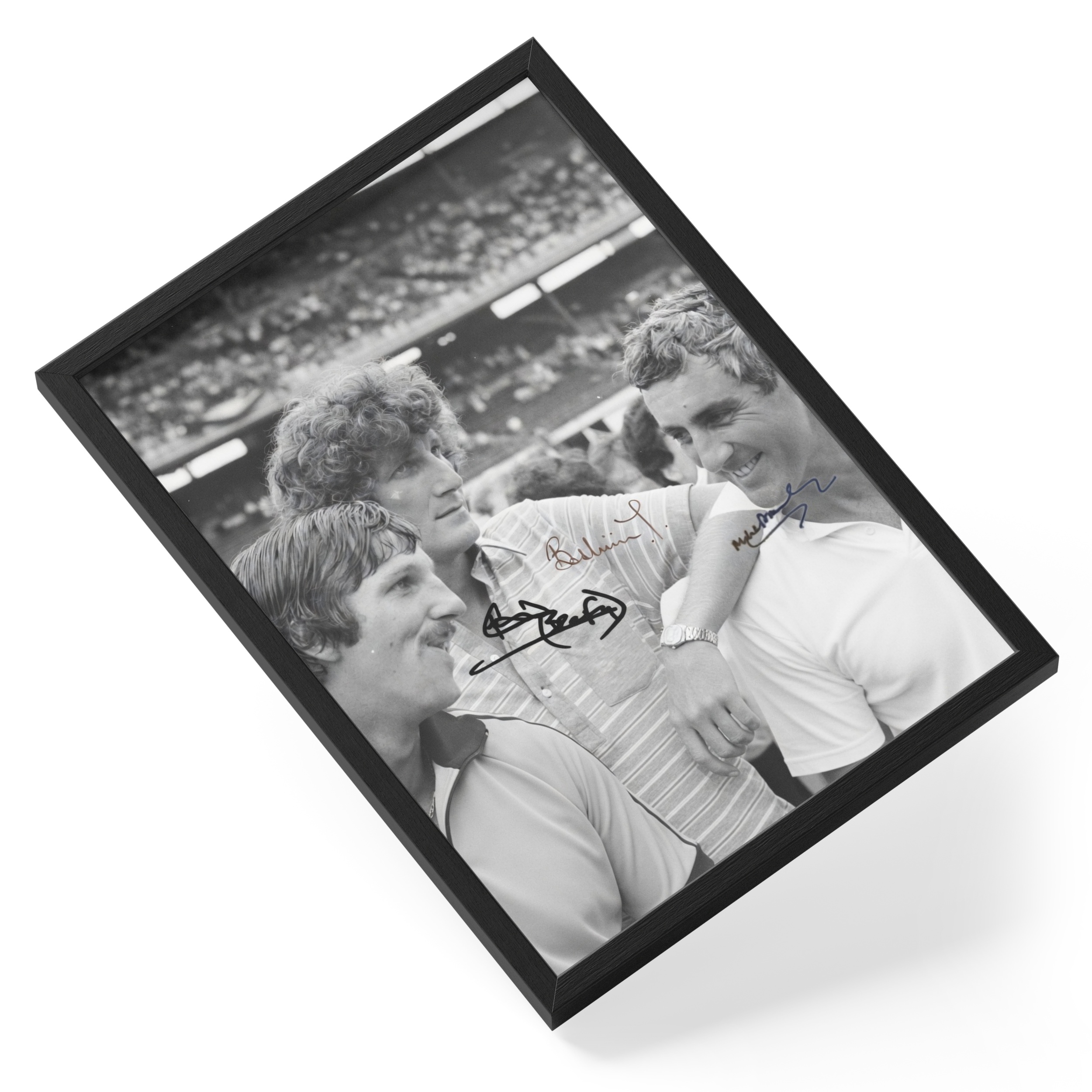 Ian Botham Bob Willis Headingley 1981 Ashes Cricket — angled view